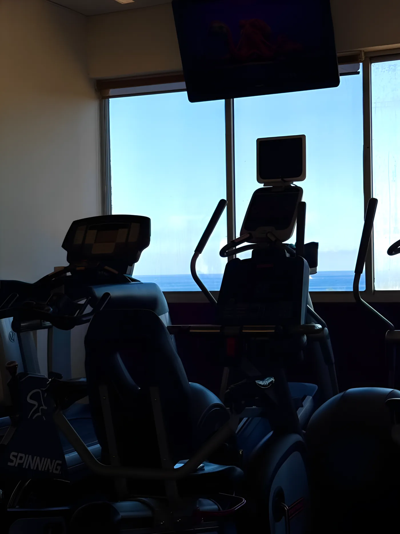 Spin and elliptical bikes at sunset